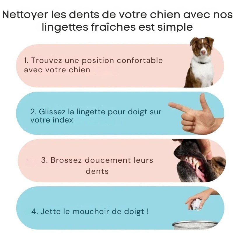 crocsourire - L'Hygiène Dentaire en Un Geste