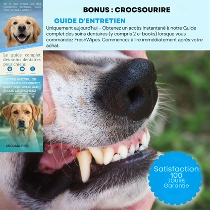 crocsourire - L'Hygiène Dentaire en Un Geste