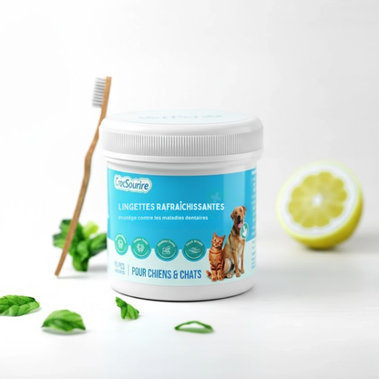 crocsourire - L'Hygiène Dentaire en Un Geste